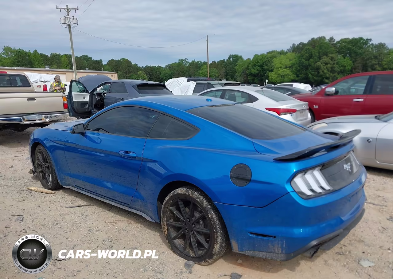 2019 Ford Mustang Ecoboost VIN:1FA6P8TH0K5163538 - 3
