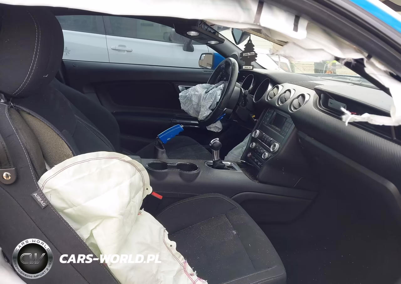2019 Ford Mustang Ecoboost VIN:1FA6P8TH0K5163538 - 5