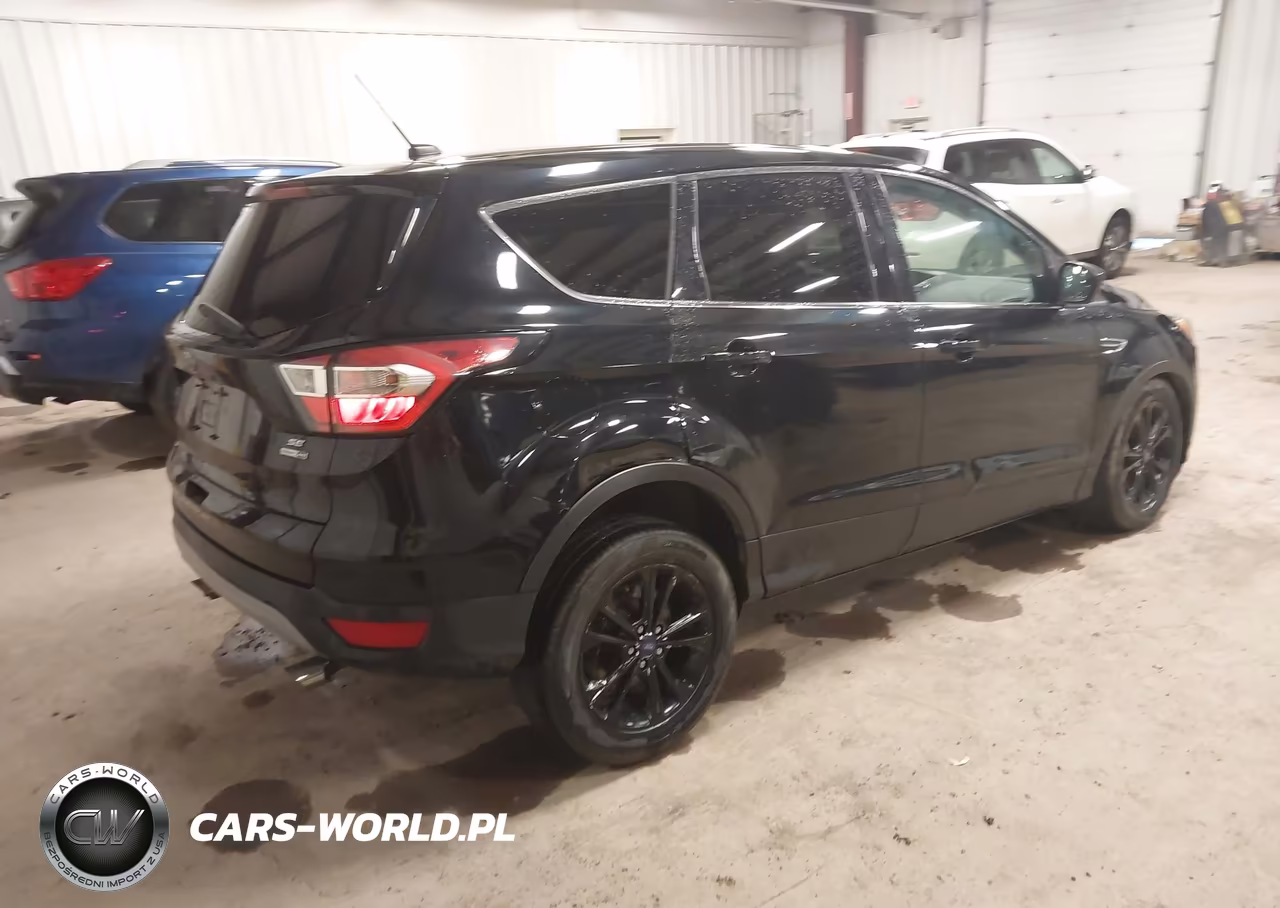 2017 Ford Escape Se VIN:1FMCU9GD9HUC08344 - 4