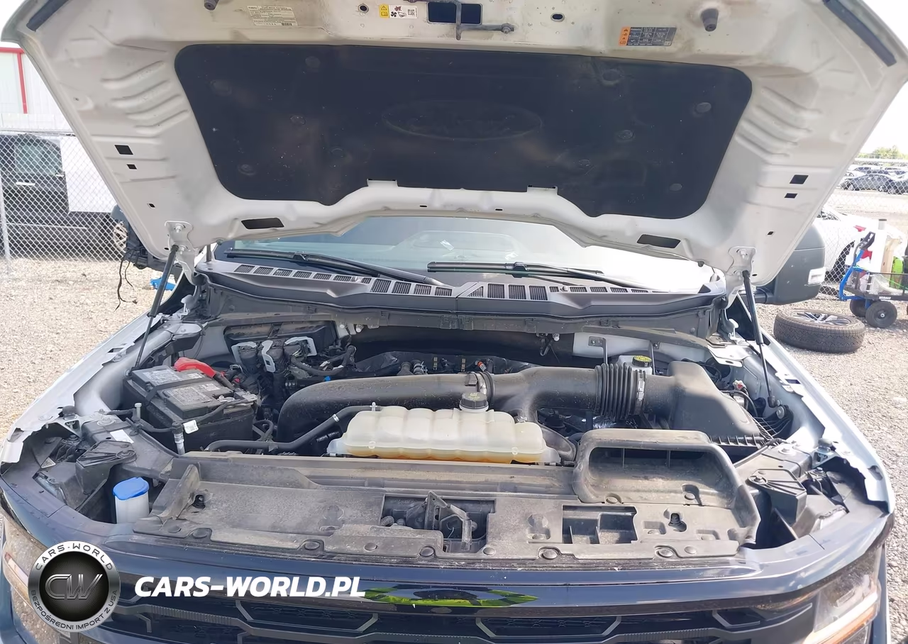 2025 Ford F-150 Xlt VIN:1FTFW3L86SFA45925 - 10