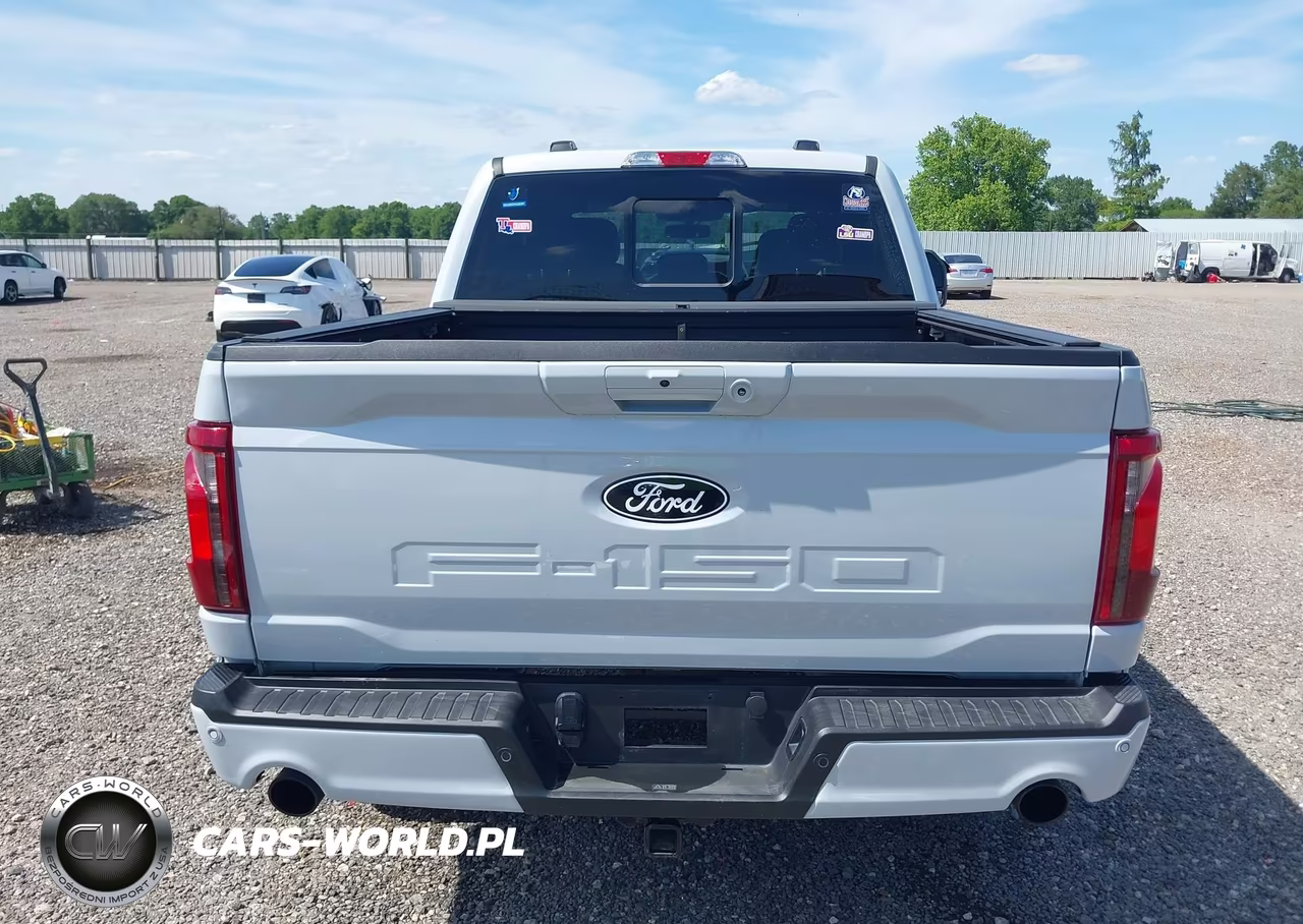2025 Ford F-150 Xlt VIN:1FTFW3L86SFA45925 - 17