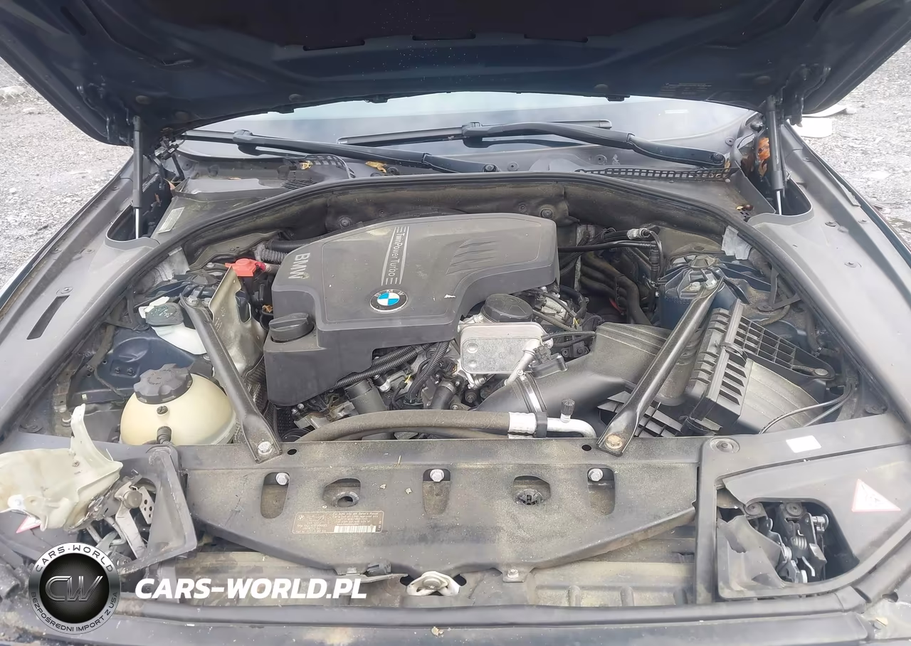 2013 BMW 528I VIN:WBAXG5C57DD229186 - 10