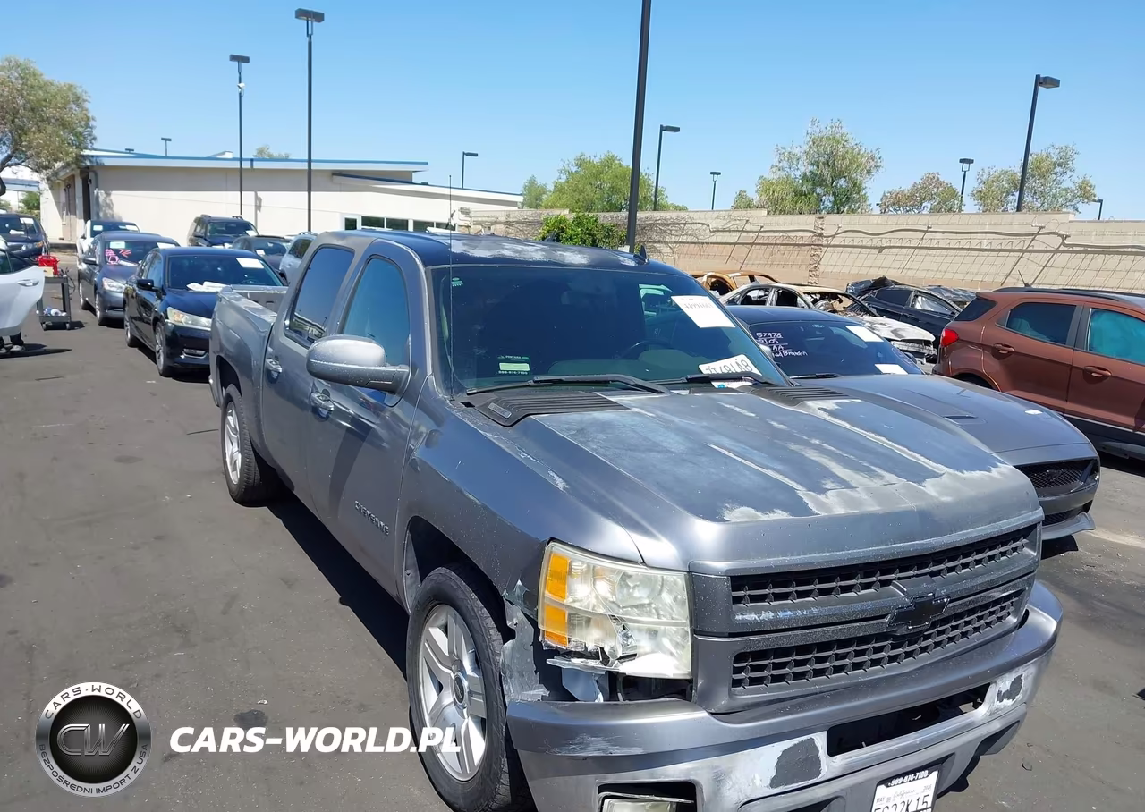 2010 Chevrolet Silverado 1500 Ls VIN:3GCRCREAXAG209635 - 12