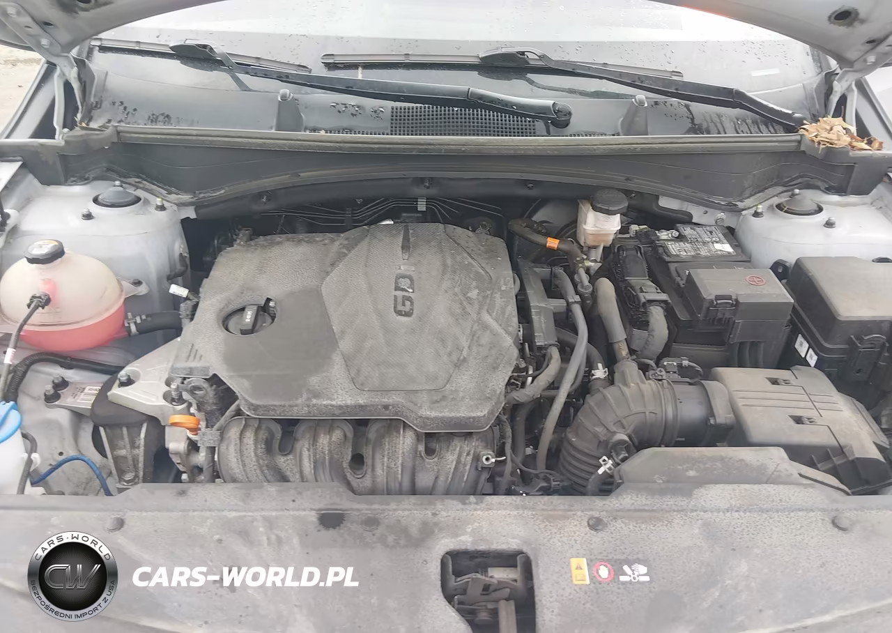 2023 Kia Sportage X-Line VIN:5XYK6CAF2PG065240 - 10