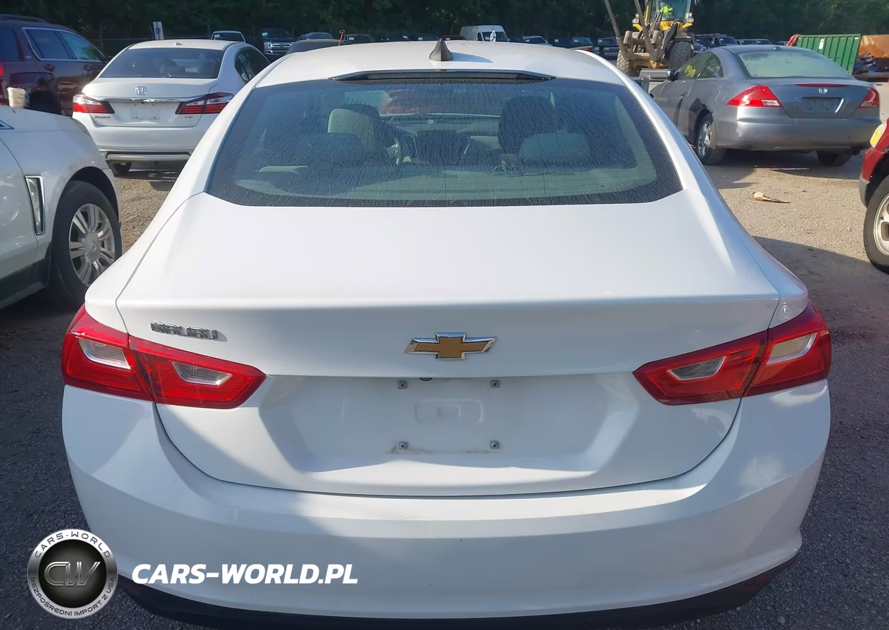 2020 Chevrolet Malibu Fwd 1Fl VIN:1G1ZC5ST8LF116916 - 17