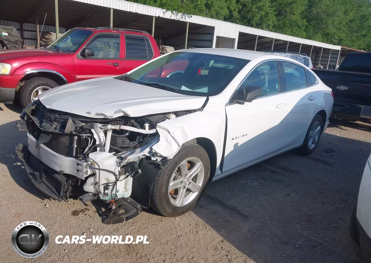 2020 Chevrolet Malibu Fwd 1Fl VIN:1G1ZC5ST8LF116916 - 2