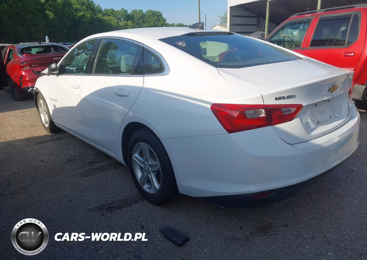 2020 Chevrolet Malibu Fwd 1Fl VIN:1G1ZC5ST8LF116916 - 3