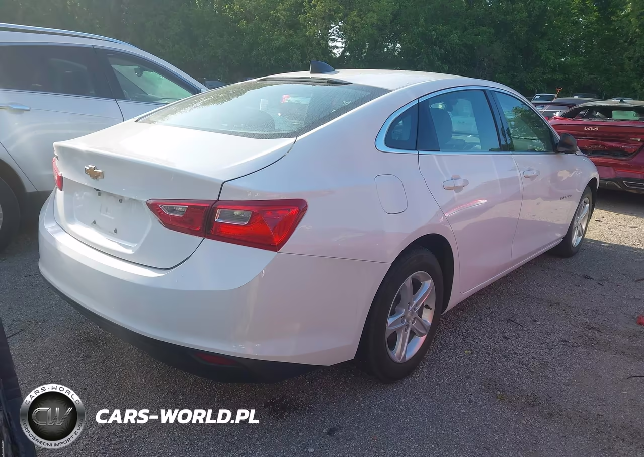 2020 Chevrolet Malibu Fwd 1Fl VIN:1G1ZC5ST8LF116916 - 4