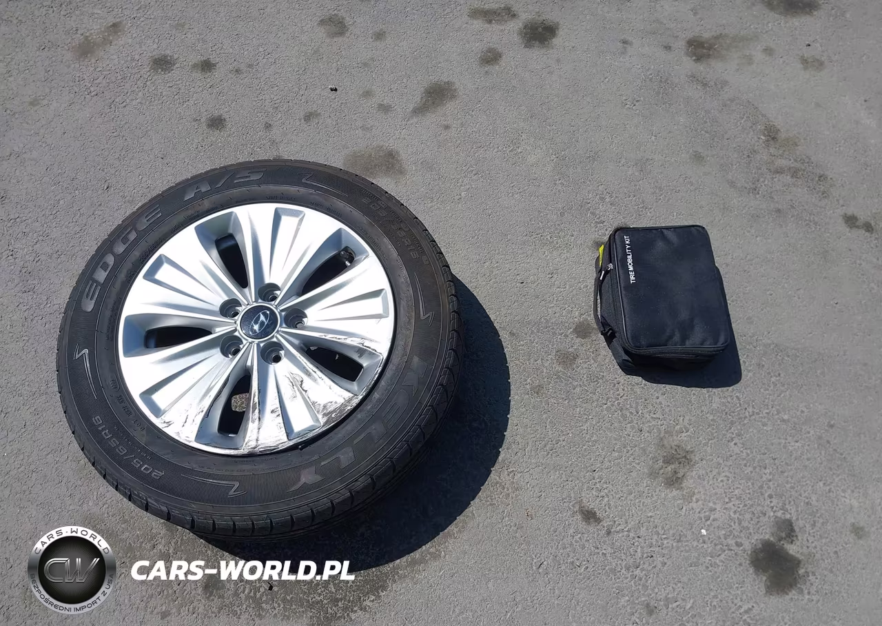 2019 Hyundai Sonata Hybrid Se VIN:KMHE24L34KA087648 - 12