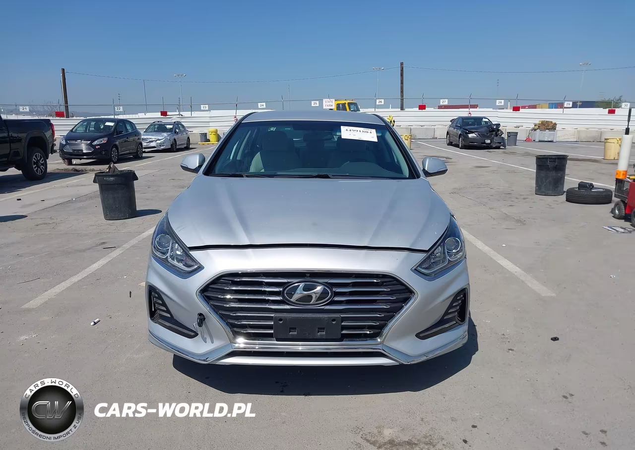 2019 Hyundai Sonata Hybrid Se VIN:KMHE24L34KA087648 - 13