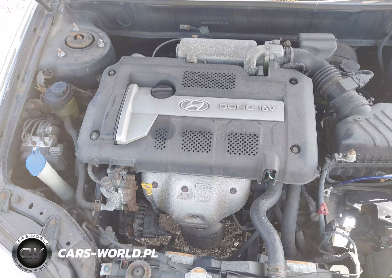 2006 Hyundai Tiburon Gs VIN:KMHHM65D56U219104 - 10