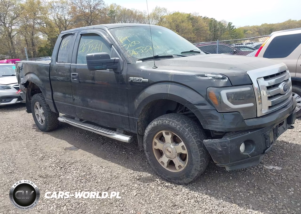 2009 Ford F-150 Stx-Xl