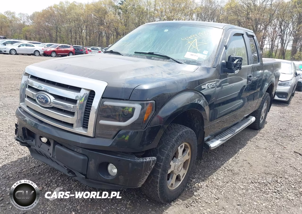 2009 Ford F-150 Stx-Xl VIN:1FTRX14W59FA42391 - 2