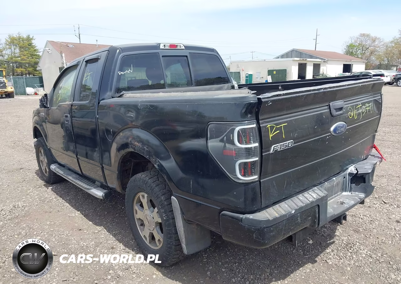 2009 Ford F-150 Stx-Xl VIN:1FTRX14W59FA42391 - 3