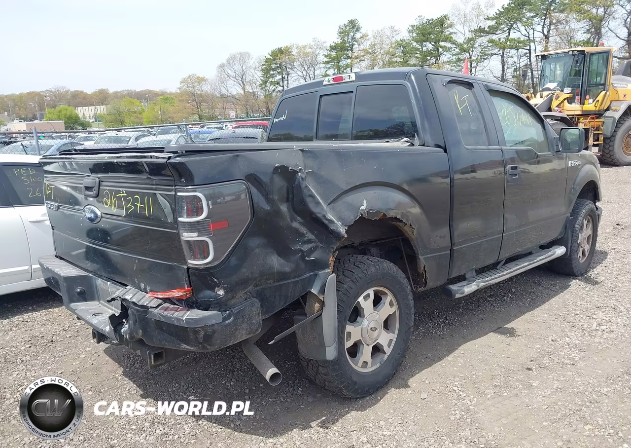 2009 Ford F-150 Stx-Xl VIN:1FTRX14W59FA42391 - 4