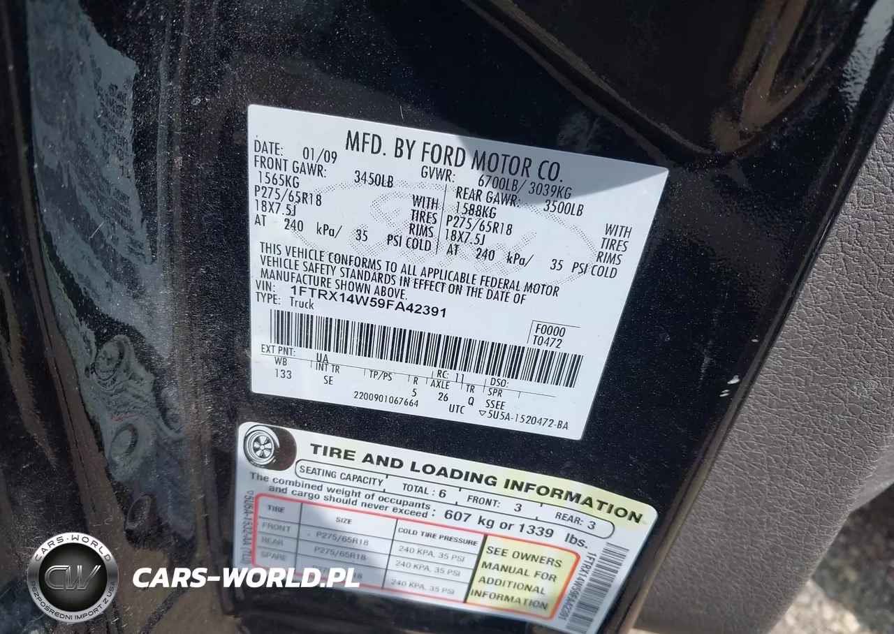 2009 Ford F-150 Stx-Xl VIN:1FTRX14W59FA42391 - 9