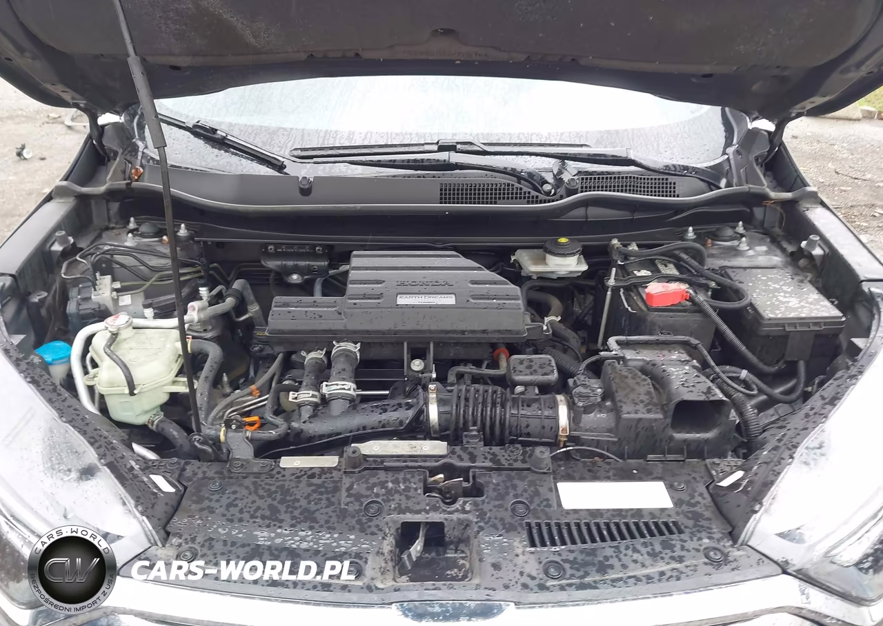 2019 Honda Cr-V Ex VIN:7FARW2H58KE020832 - 10