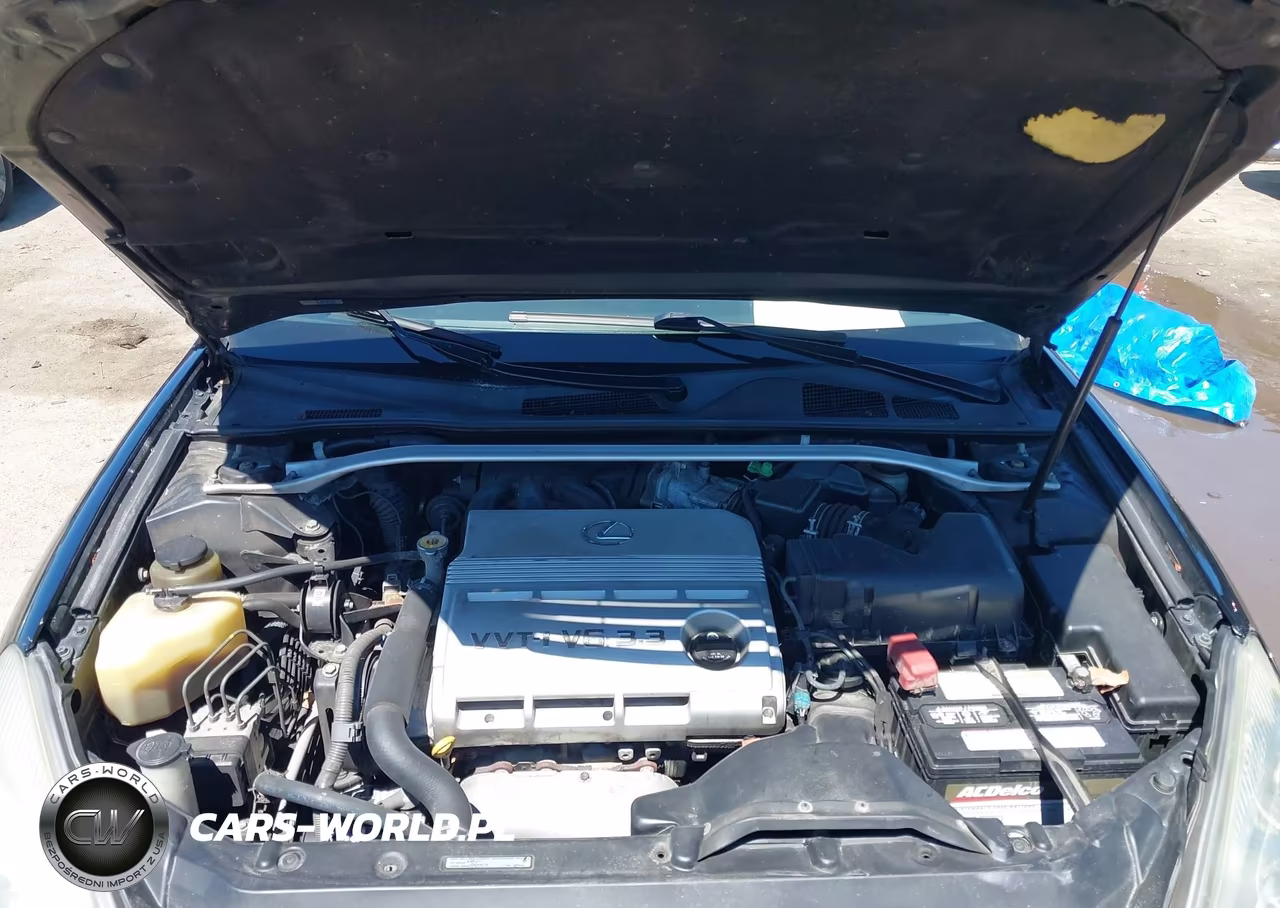 2004 Lexus Es 330 VIN:JTHBA30G745029135 - 10
