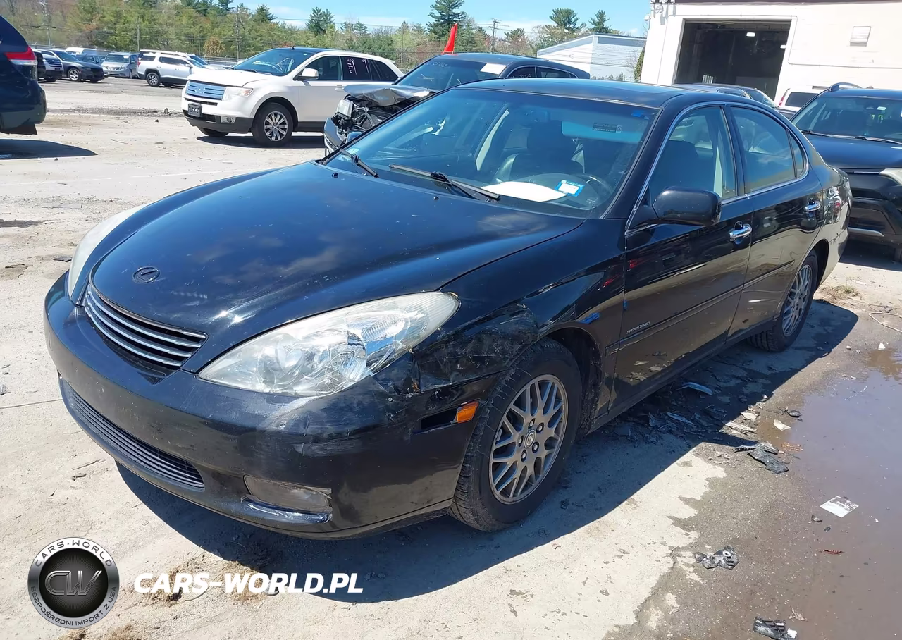 2004 Lexus Es 330 VIN:JTHBA30G745029135 - 2