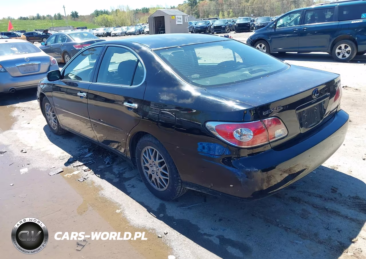 2004 Lexus Es 330 VIN:JTHBA30G745029135 - 3