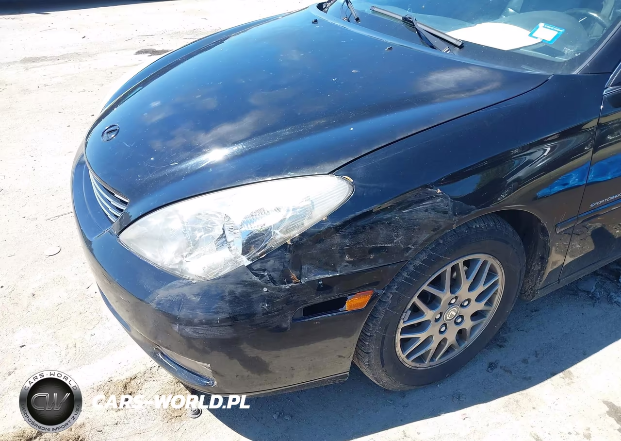 2004 Lexus Es 330 VIN:JTHBA30G745029135 - 6