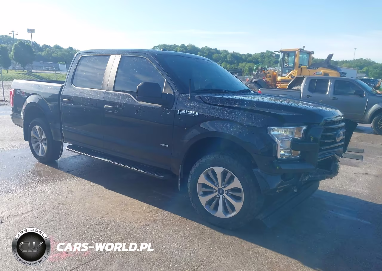 2017 Ford F-150 Xl – zdjęcie 1 z 16