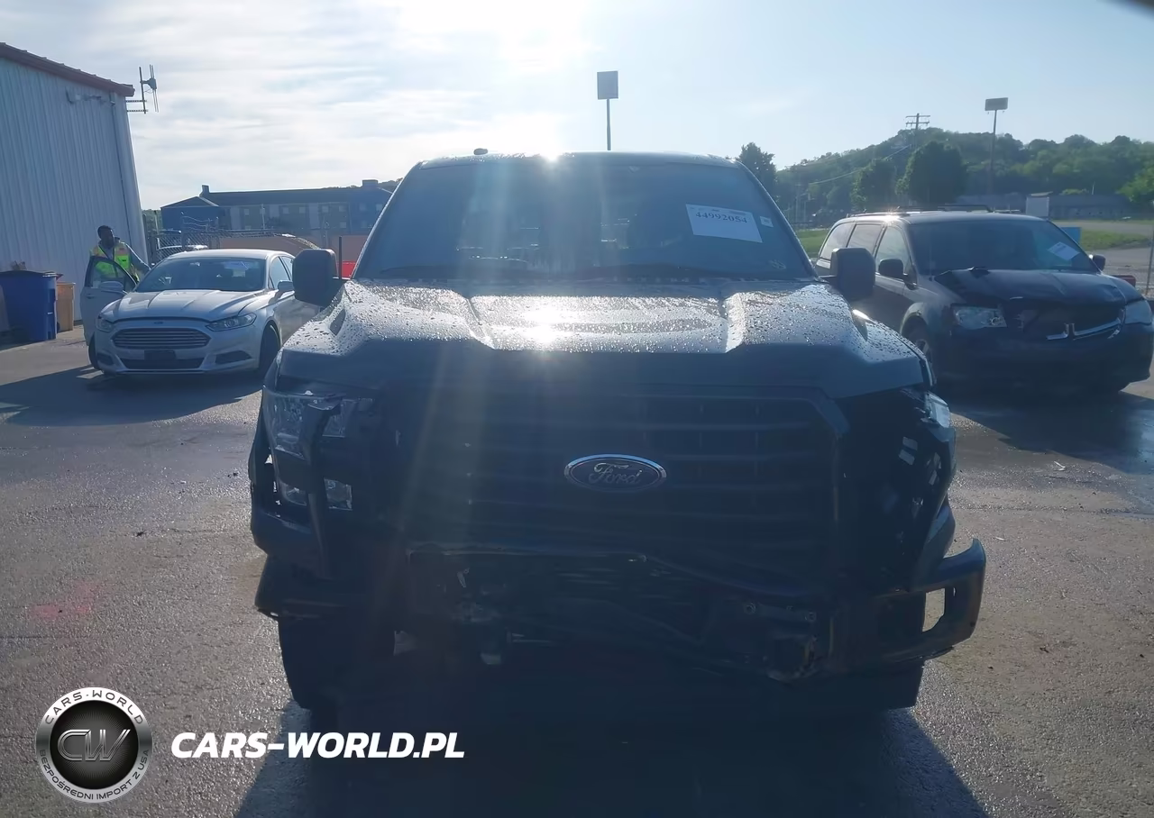 2017 Ford F-150 Xl VIN:1FTEW1EP4HFA62459 - 12