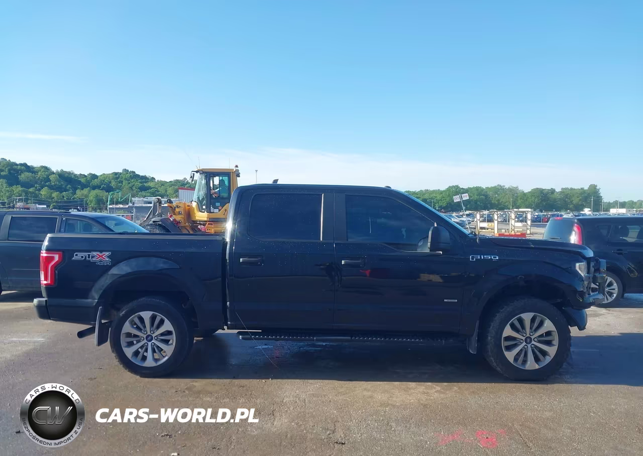2017 Ford F-150 Xl VIN:1FTEW1EP4HFA62459 - 13