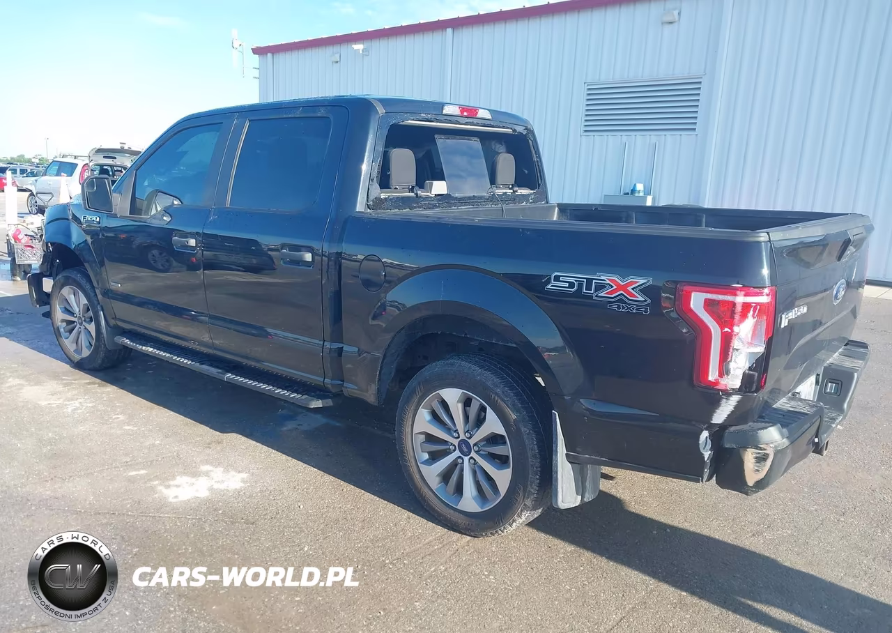 2017 Ford F-150 Xl VIN:1FTEW1EP4HFA62459 - 3
