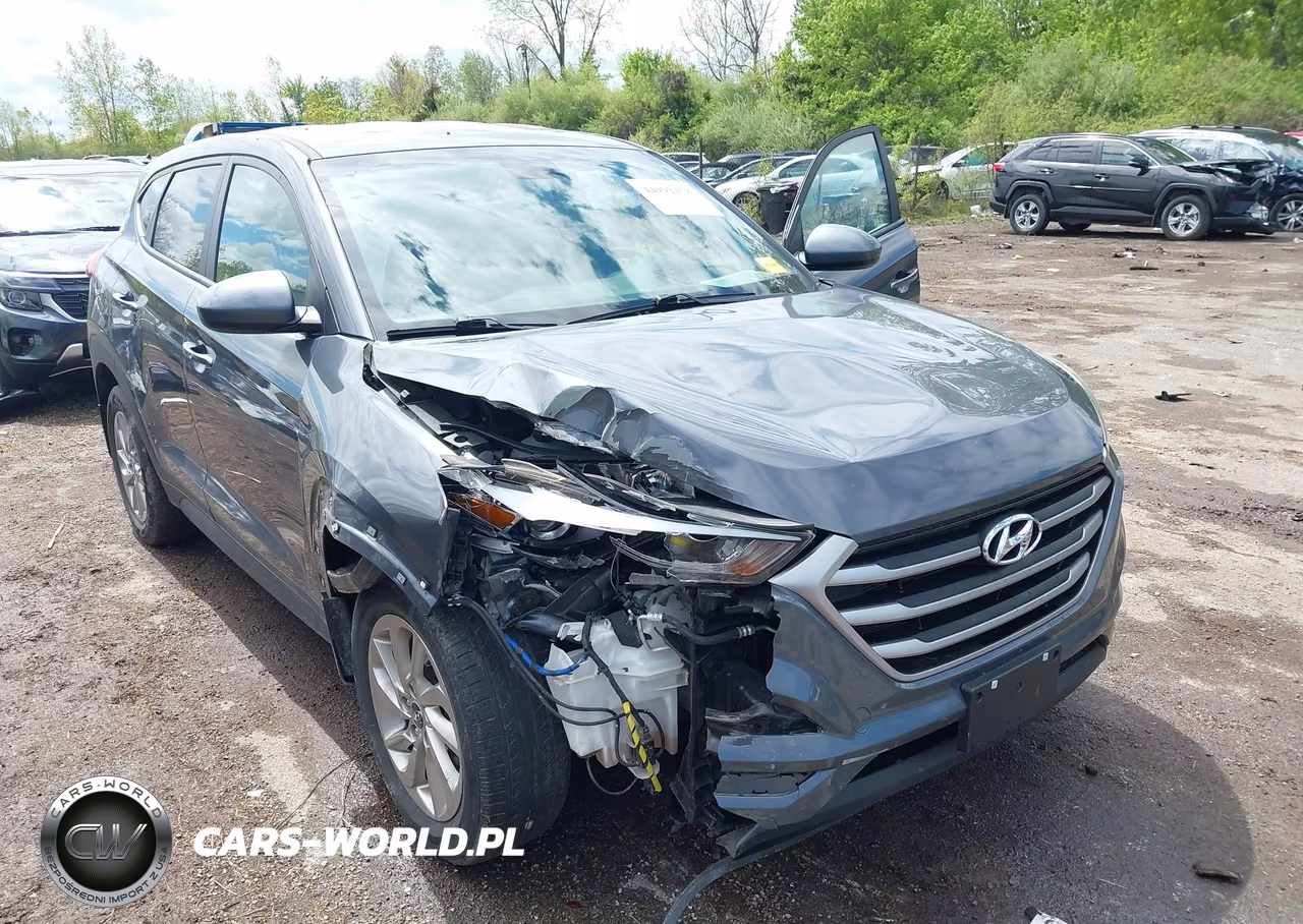 2017 Hyundai Tucson Se VIN:KM8J23A42HU409912 - 6