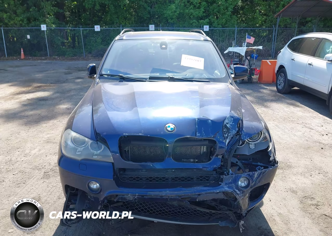 2012 BMW X5 xDrive35I-xDrive35I Premium-xDrive35I Sport Activity VIN:5UXZV4C51CL988768 - 12