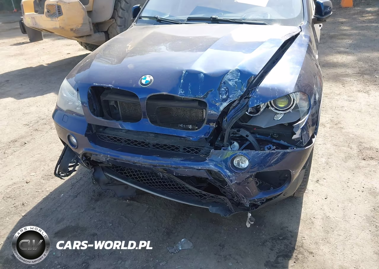 2012 BMW X5 xDrive35I-xDrive35I Premium-xDrive35I Sport Activity VIN:5UXZV4C51CL988768 - 6