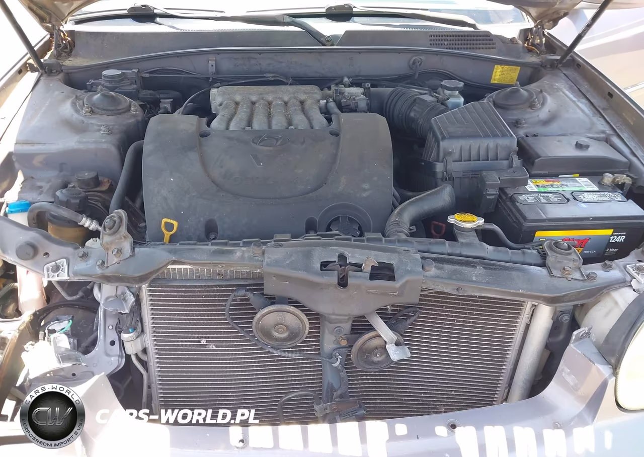 2005 Hyundai Sonata Gls-Lx VIN:KMHWF35H55A207246 - 10
