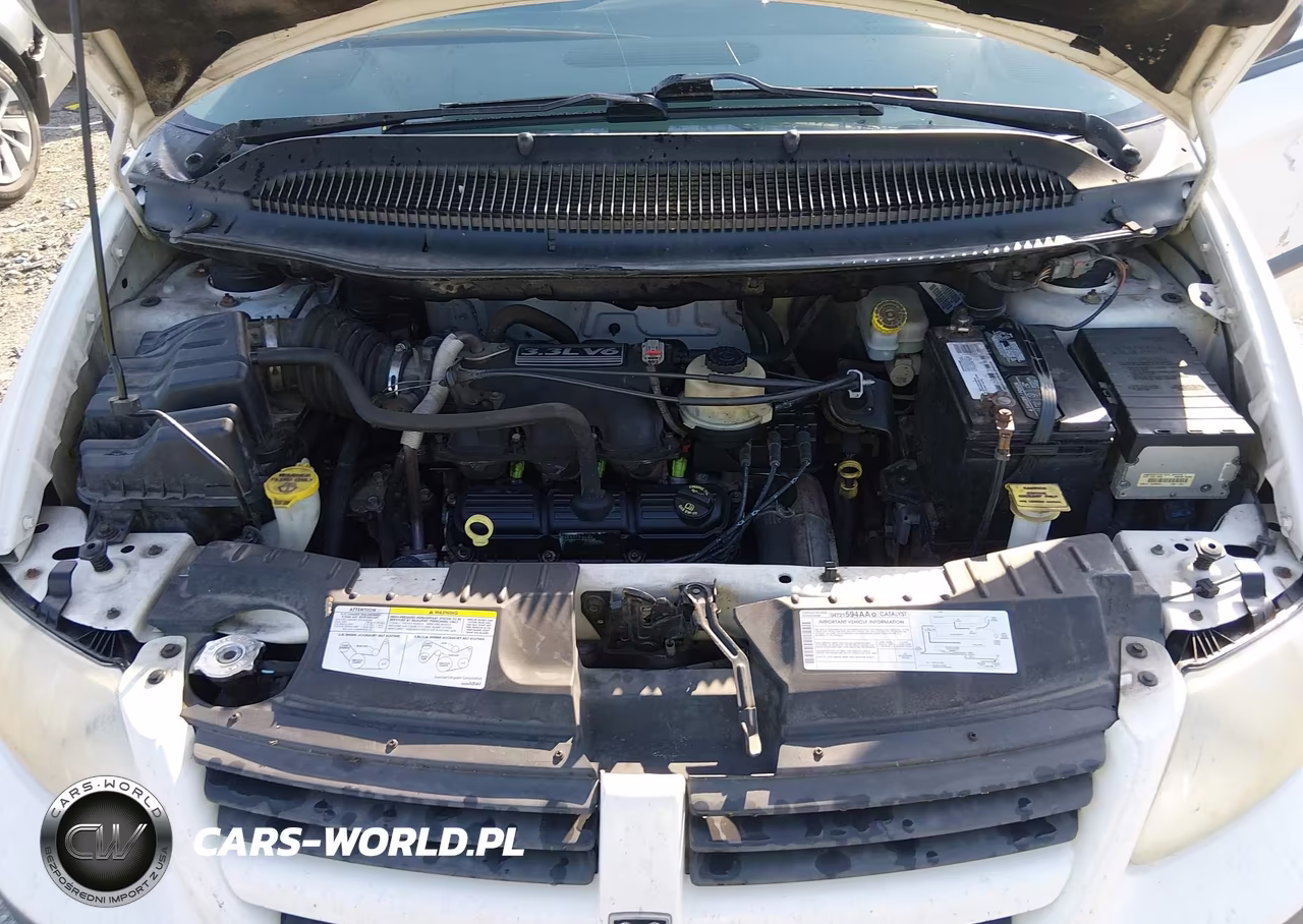 2006 Dodge Caravan Se VIN:1D4GP25EX6B604018 - 10