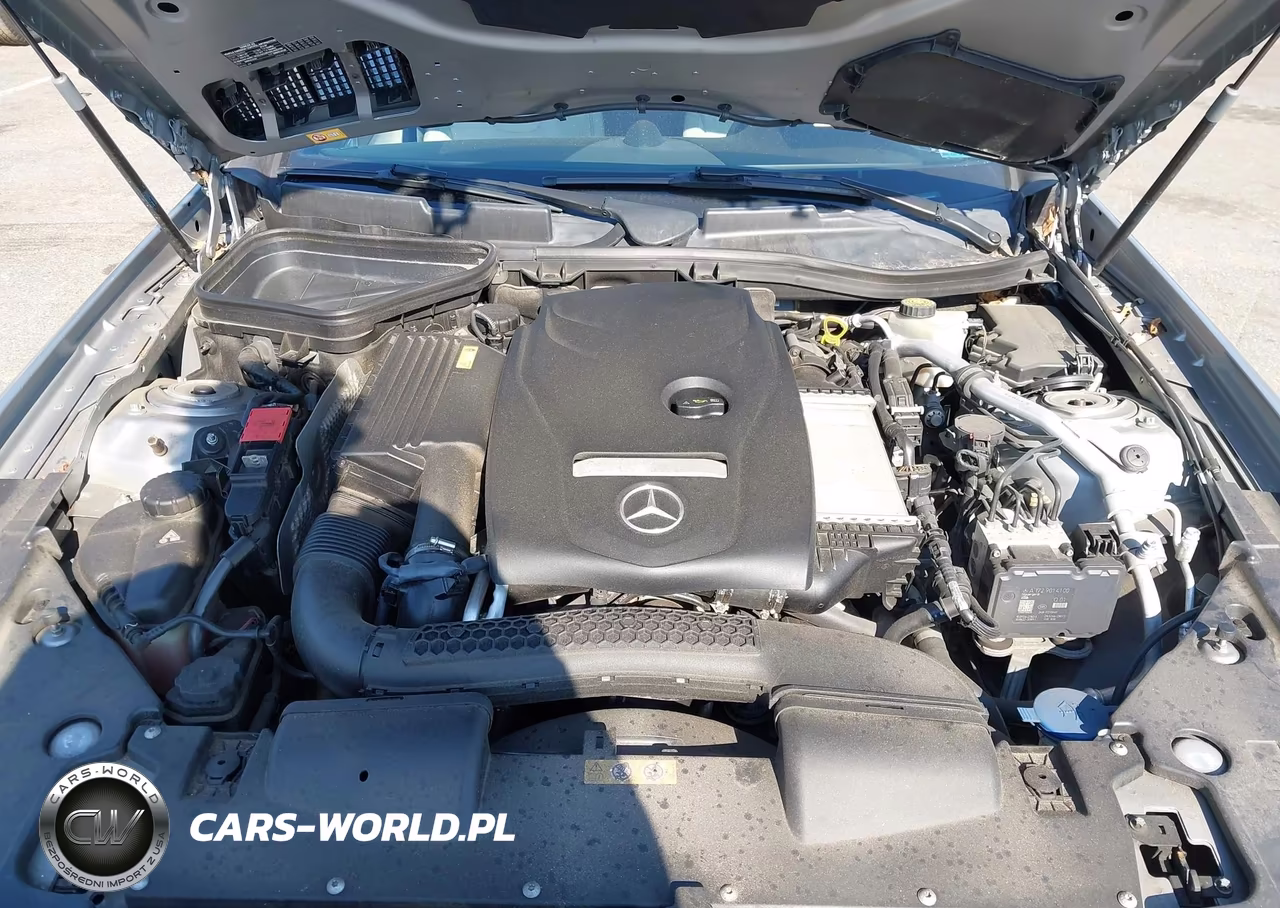 2016 Mercedes-Benz Slk 300 VIN:WDDPK3JA8GF122488 - 10