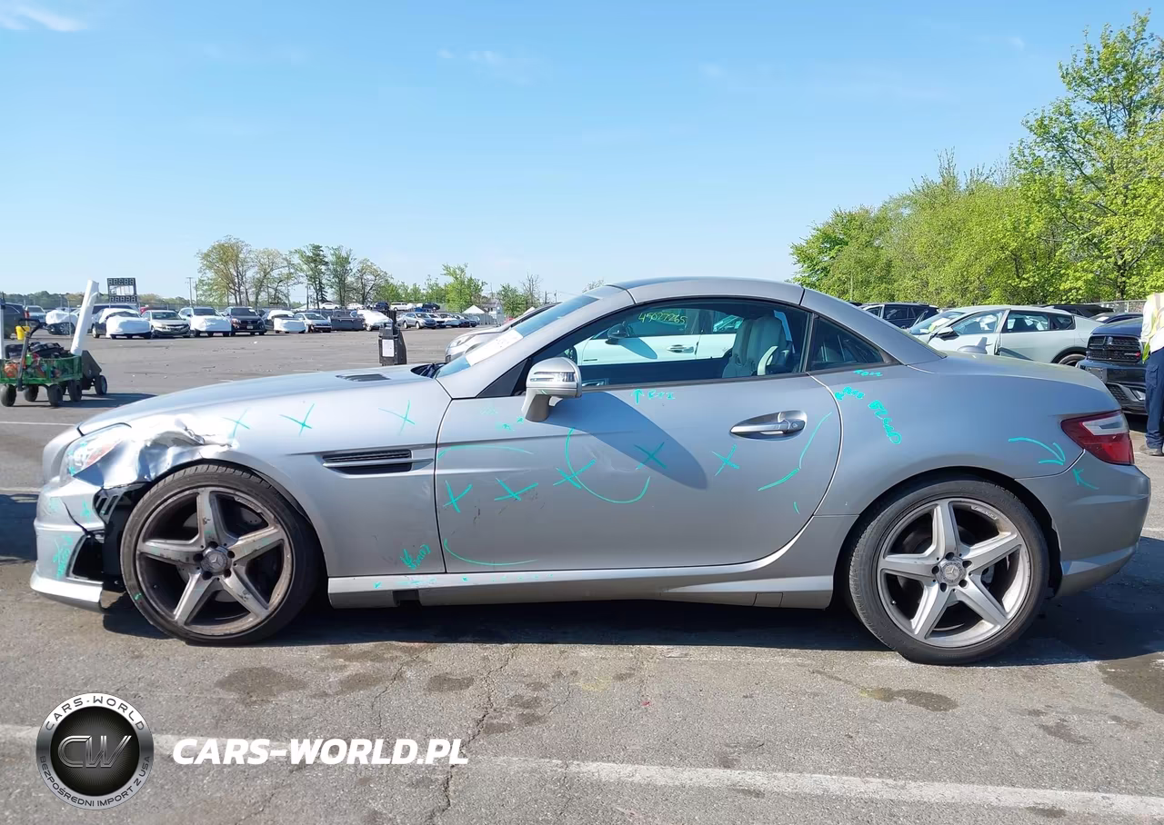 2016 Mercedes-Benz Slk 300 VIN:WDDPK3JA8GF122488 - 14