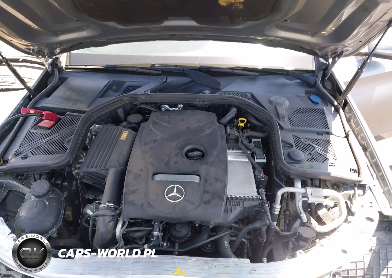 2015 Mercedes-Benz C 300 Luxury VIN:55SWF4JB2FU076120 - 10