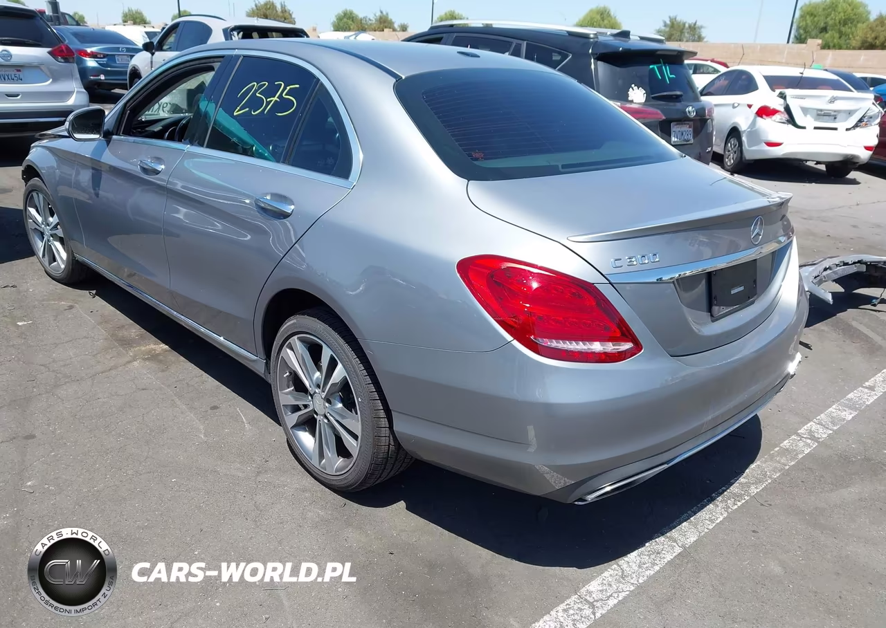 2015 Mercedes-Benz C 300 Luxury VIN:55SWF4JB2FU076120 - 3