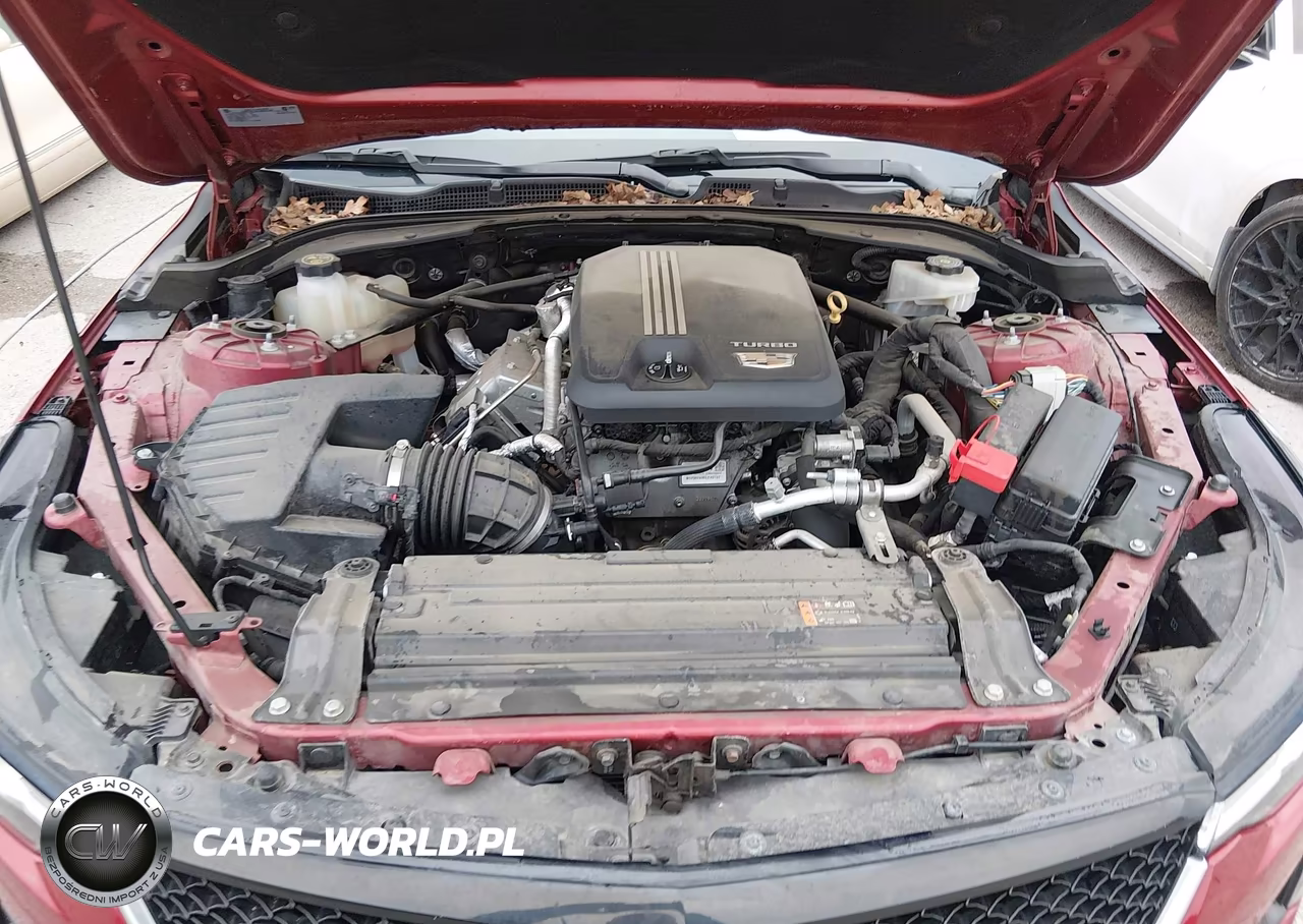 2020 Cadillac Ct4 Sport VIN:1G6DG5RK2L0127564 - 10