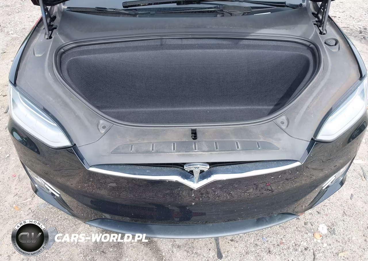 2020 Tesla Model X Long Range Dual Motor All-Wheel Drive-Long Range Plus Dual Motor All-Wheel Drive VIN:5YJXCDE26LF221325 - 10