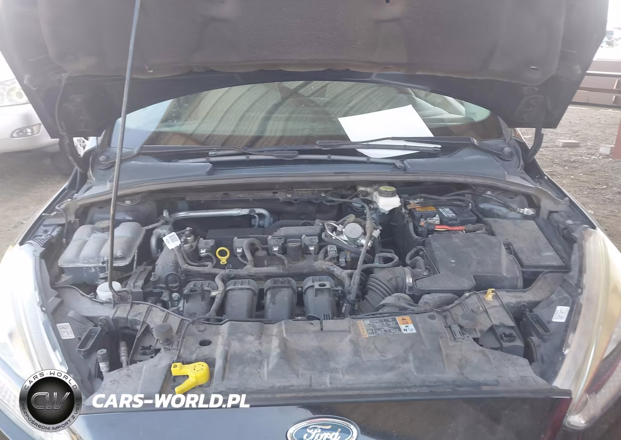 2018 Ford Focus Se VIN:1FADP3F24JL205365 - 10