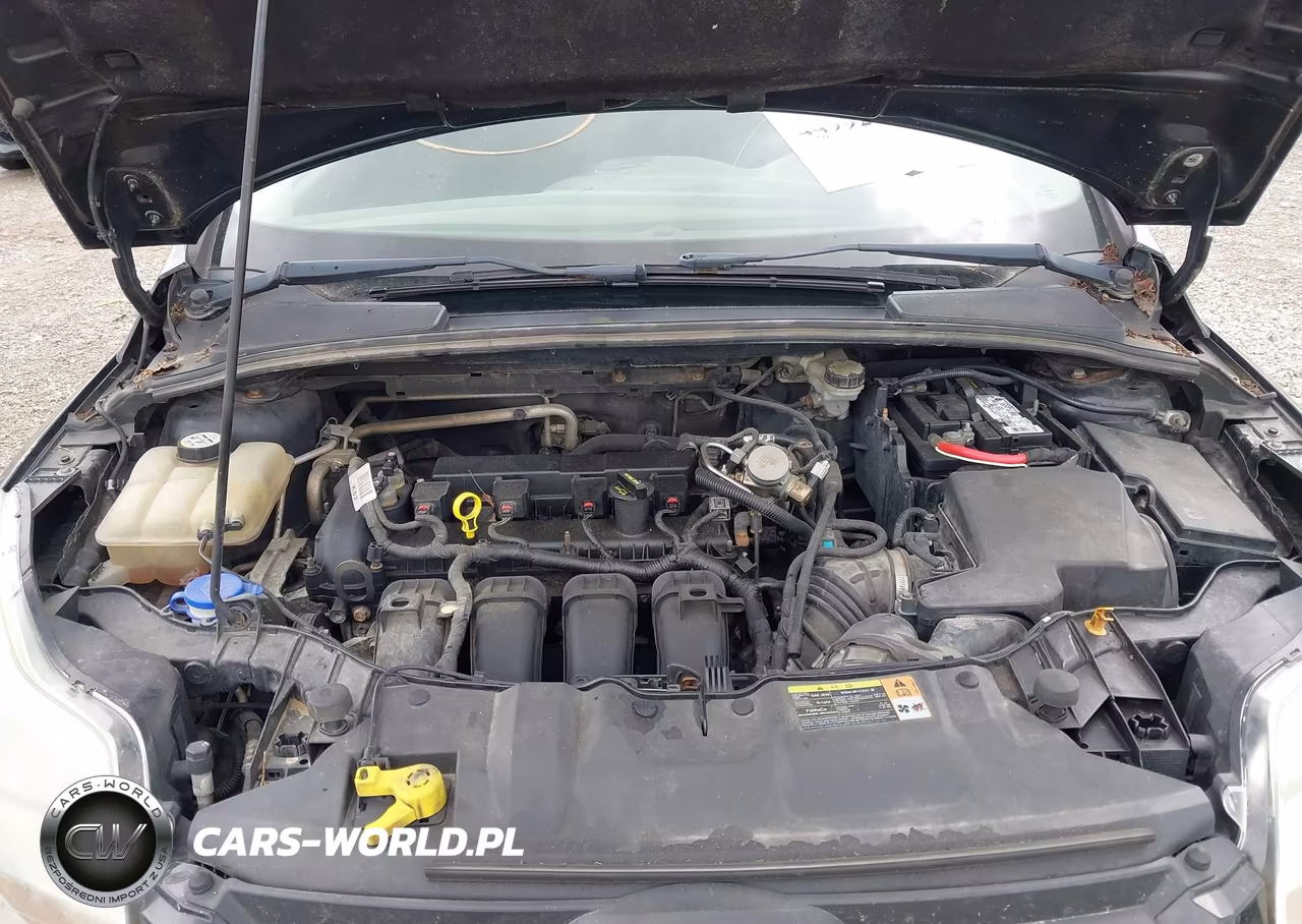 2013 Ford Focus Se VIN:1FADP3F25DL219392 - 10