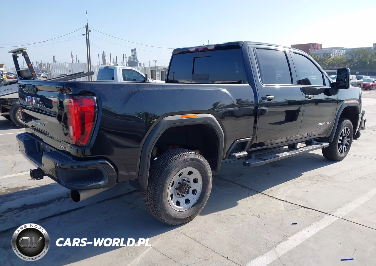 2020 GMC Sierra 2500Hd 4Wd Standard Bed At4 VIN:1GT49PEY2LF150580 - 4