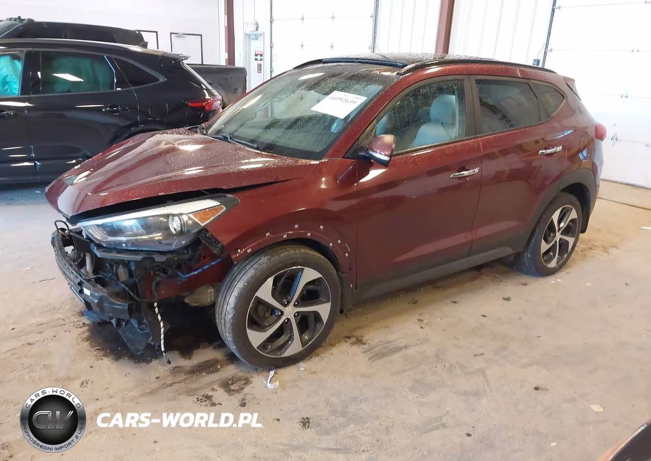2016 Hyundai Tucson Limited VIN:KM8J33A20GU239172 - 2