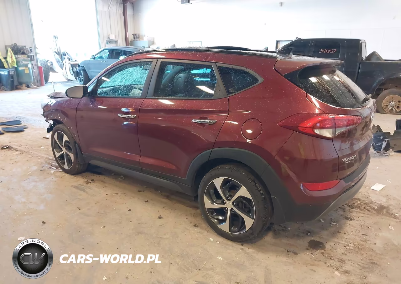 2016 Hyundai Tucson Limited VIN:KM8J33A20GU239172 - 3