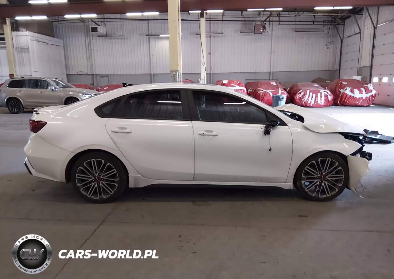 2024 Kia Forte Gt Manual VIN:3KPF44ACXRE781192 - 14