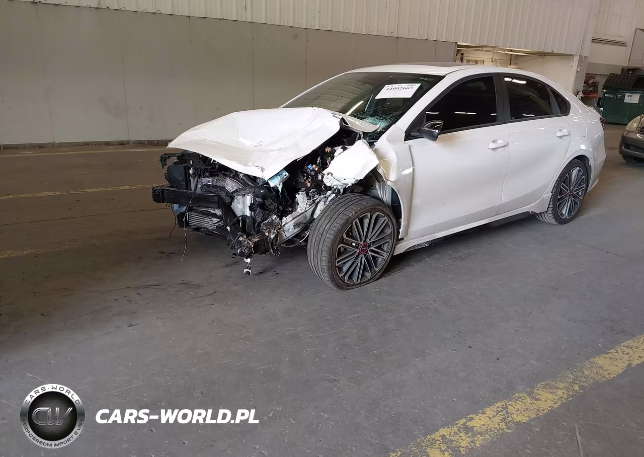 2024 Kia Forte Gt Manual VIN:3KPF44ACXRE781192 - 2