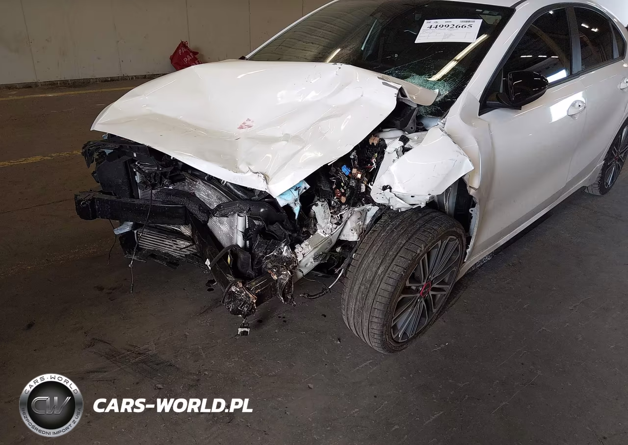 2024 Kia Forte Gt Manual VIN:3KPF44ACXRE781192 - 6