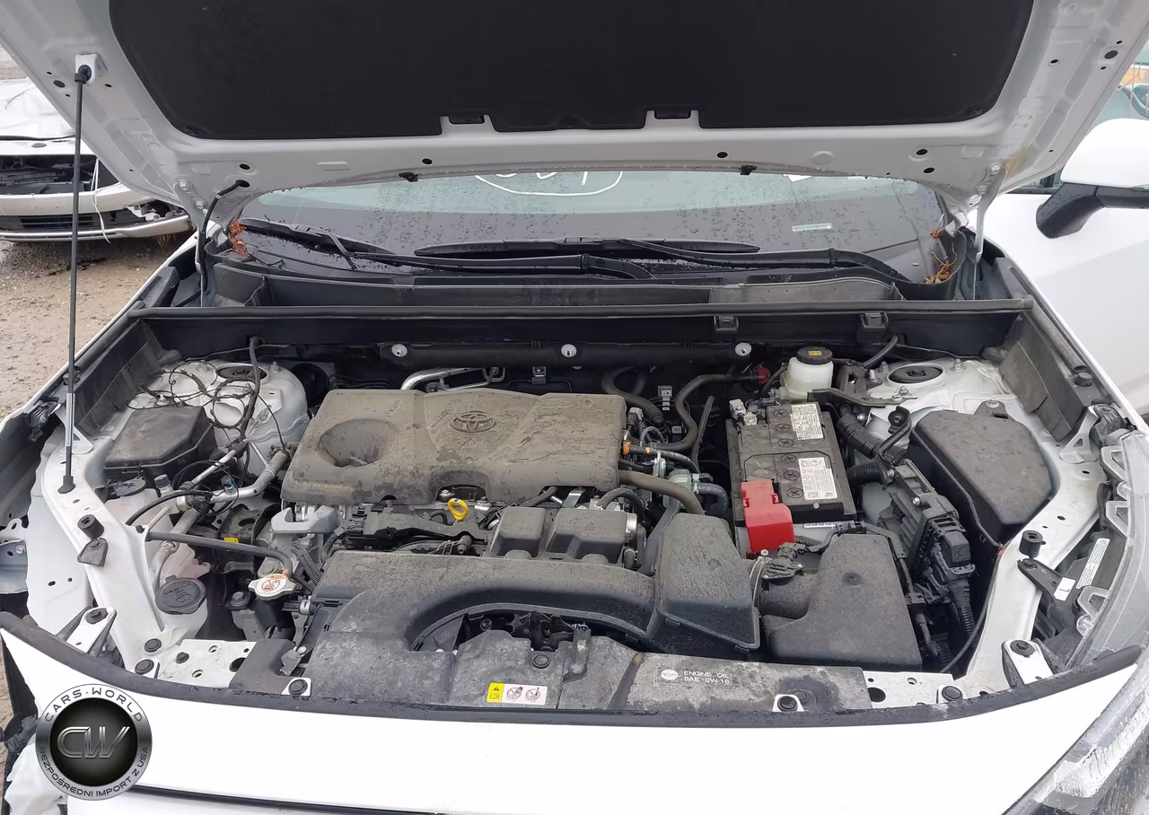 2025 Toyota Rav4 Xle VIN:2T3P1RFV4SW632369 - 10