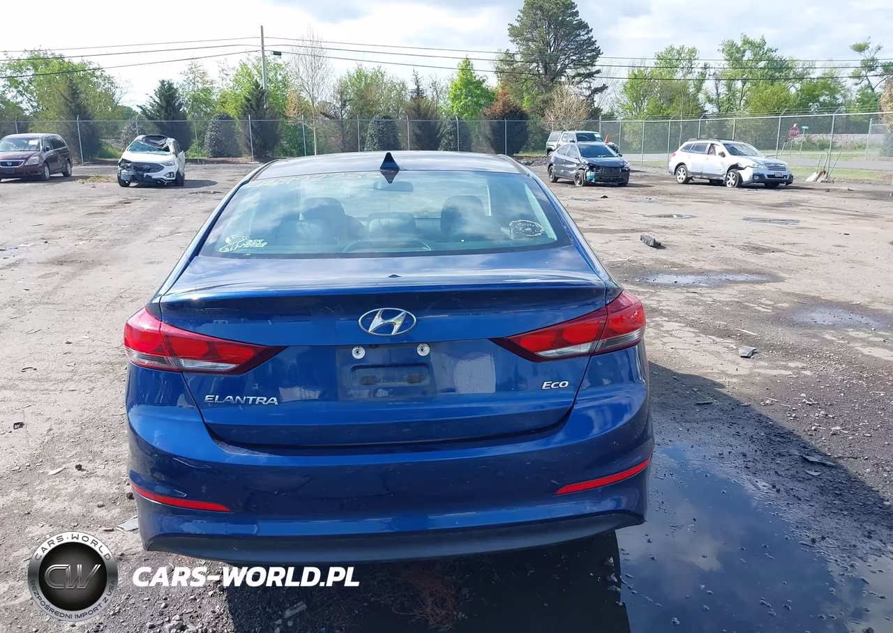 2017 Hyundai Elantra Eco VIN:5NPD94LA0HH130474 - 17